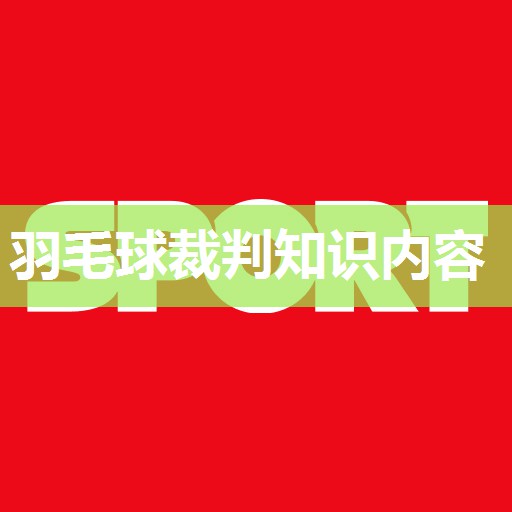 羽毛球裁判知识内容