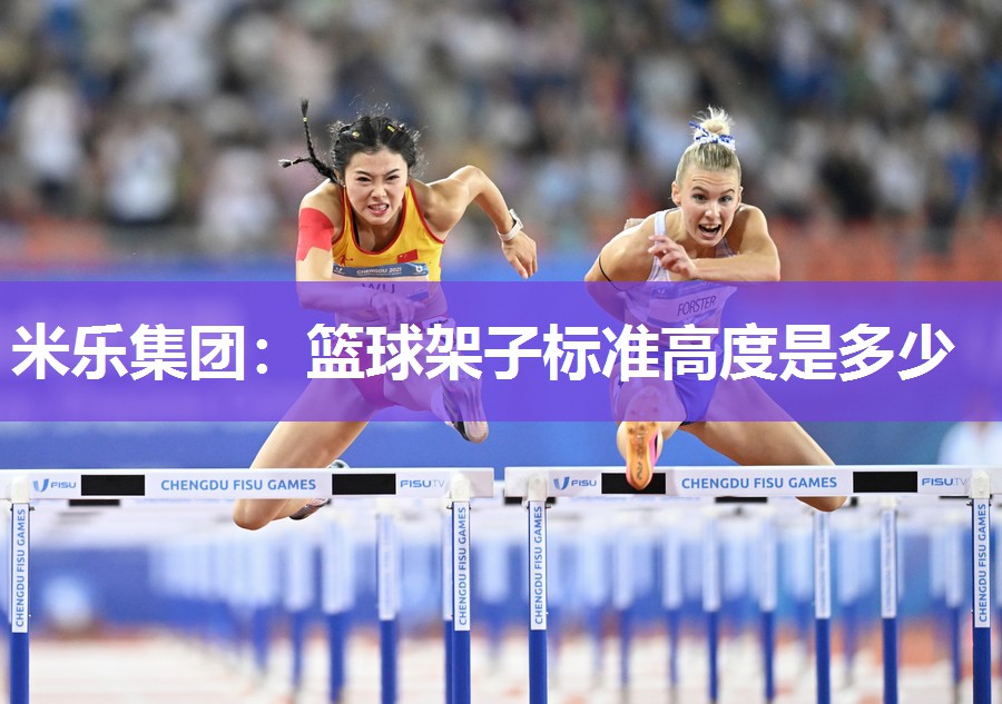 篮球架子标准高度是多少