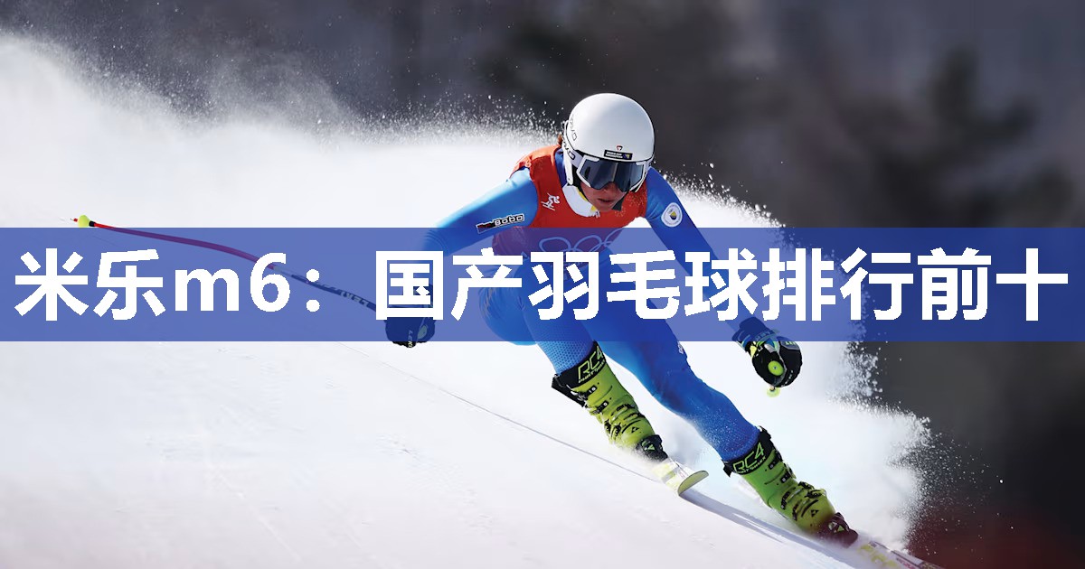国产羽毛球排行前十