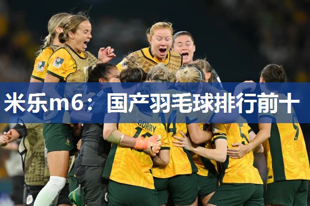 国产羽毛球排行前十
