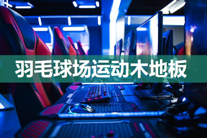羽毛球场运动木地板