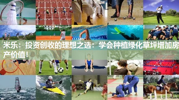 投资创收的理想之选：学会种植绿化草坪增加房产价值！