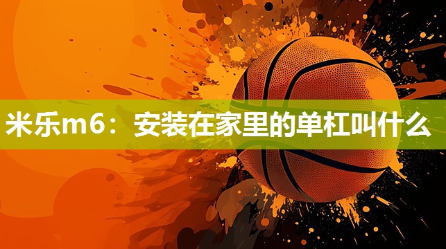 安装在家里的单杠叫什么