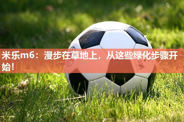 漫步在草地上，从这些绿化步骤开始！