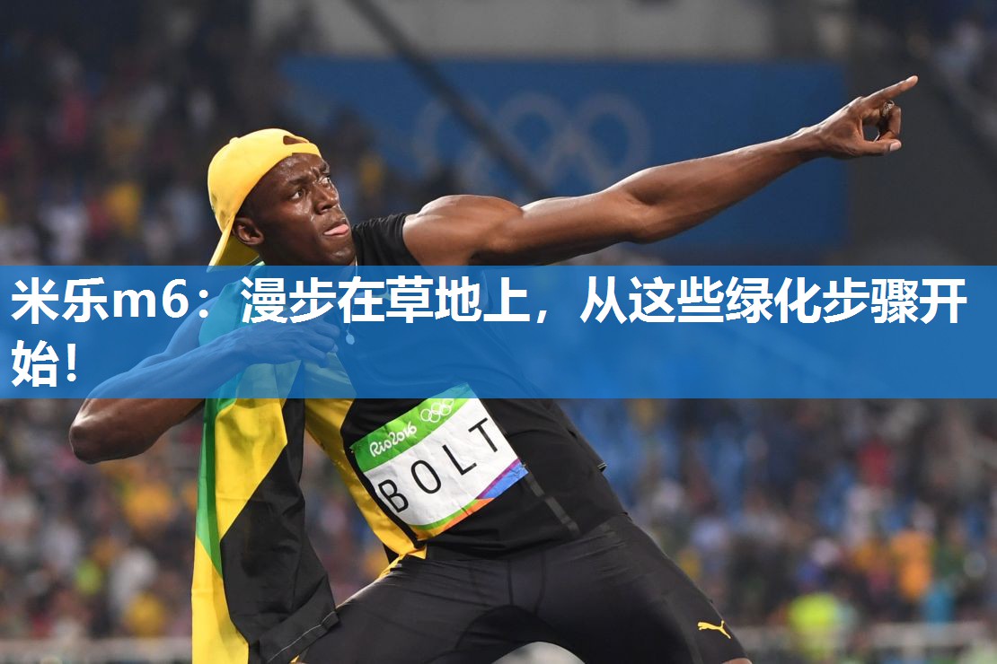 漫步在草地上，从这些绿化步骤开始！