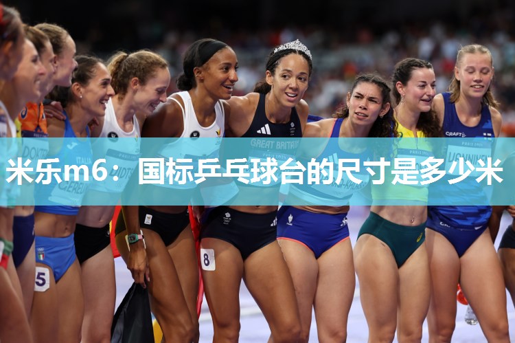 国标乒乓球台的尺寸是多少米