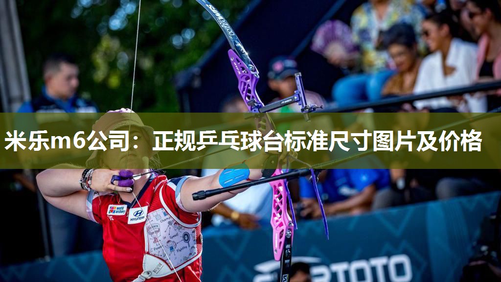 正规乒乓球台标准尺寸图片及价格
