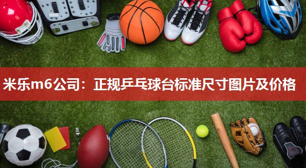 正规乒乓球台标准尺寸图片及价格