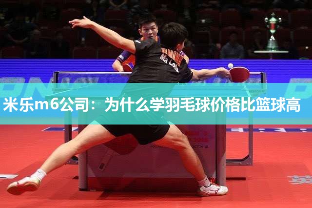 为什么学羽毛球价格比篮球高