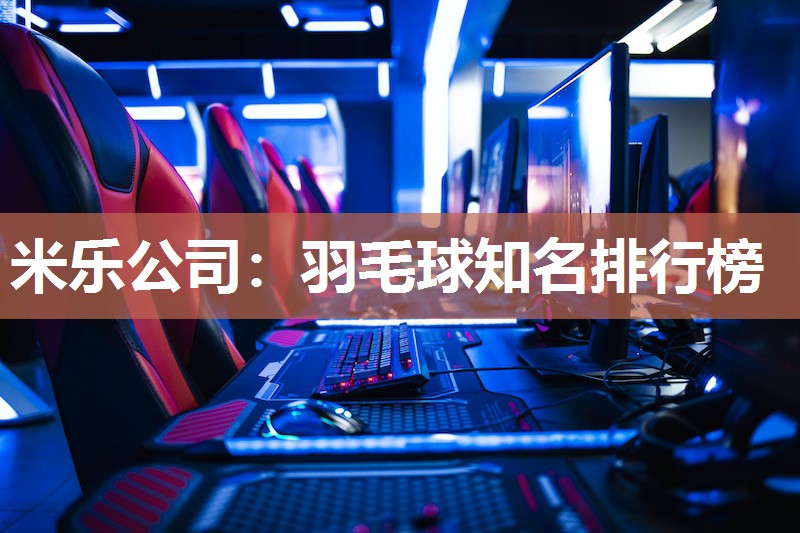 羽毛球知名排行榜