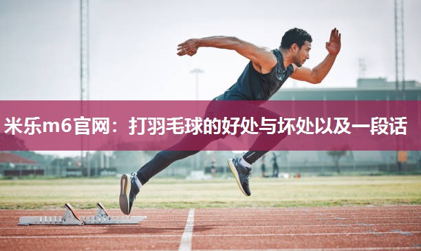 打羽毛球的好处与坏处以及一段话