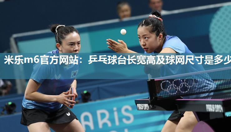 乒乓球台长宽高及球网尺寸是多少