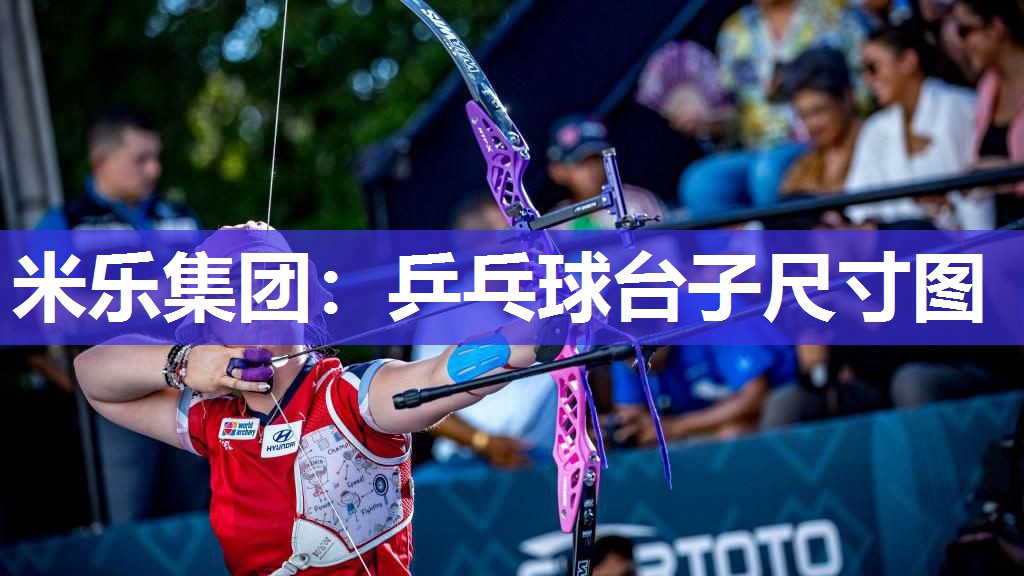 乒乓球台子尺寸图