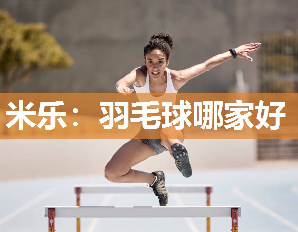 羽毛球哪家好