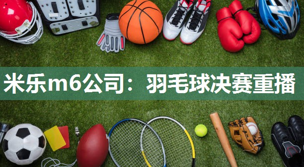 羽毛球决赛重播