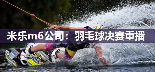 羽毛球决赛重播