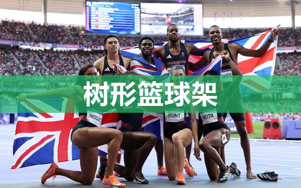 树形篮球架