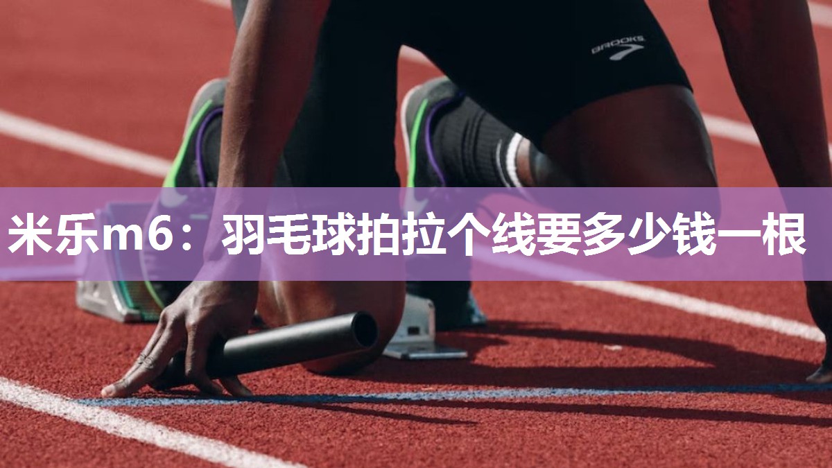 羽毛球拍拉个线要多少钱一根