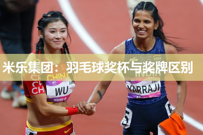羽毛球奖杯与奖牌区别