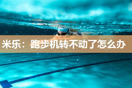 跑步机转不动了怎么办
