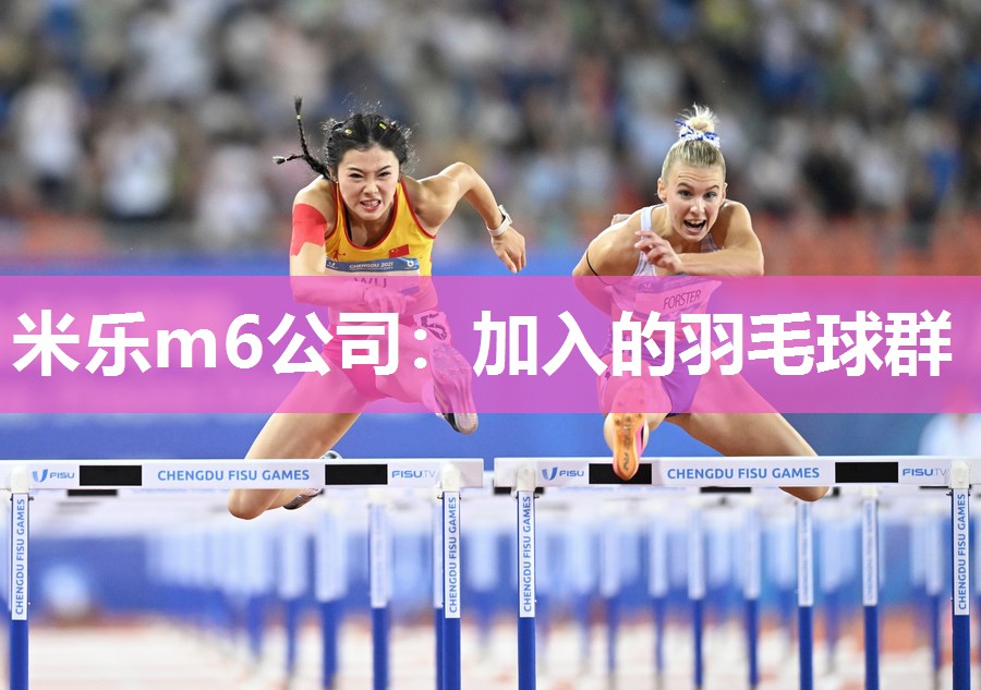 加入的羽毛球群