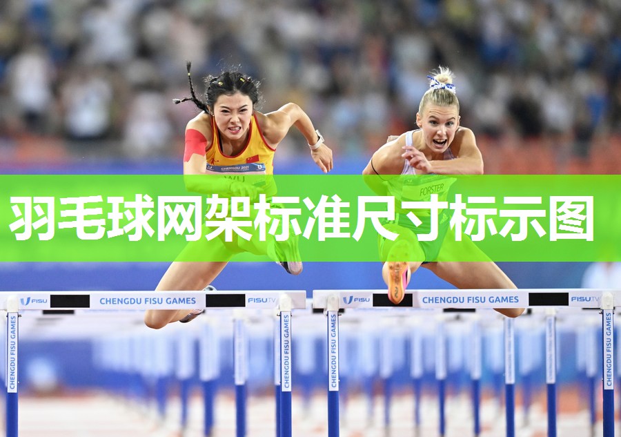 羽毛球网架标准尺寸标示图