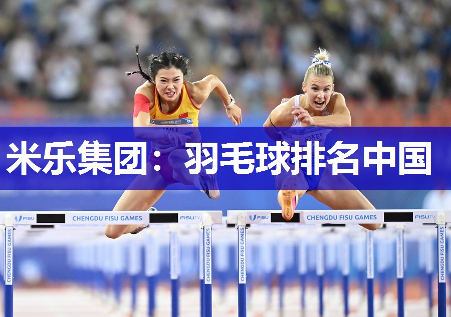 羽毛球排名中国